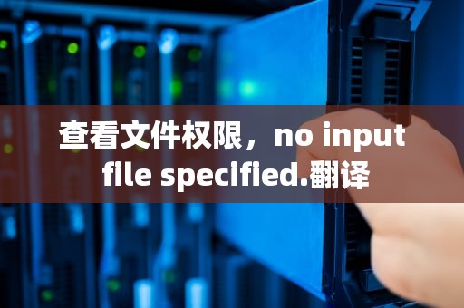 查看文件权限，no input file specified.翻译