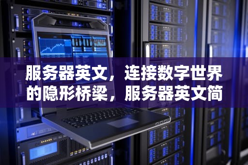 服务器英文，连接数字世界的隐形桥梁，服务器英文简称