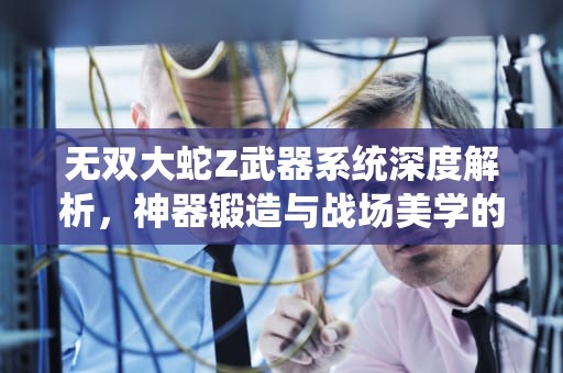 无双大蛇Z武器系统深度解析，神器锻造与战场美学的终极融合，无双大蛇z武器属性最佳配置