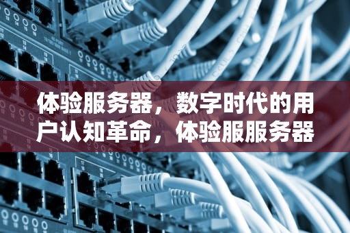 体验服务器，数字时代的用户认知革命，体验服服务器