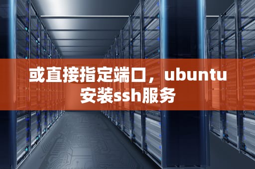 或直接指定端口，ubuntu安装ssh服务