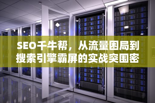 SEO千牛帮，从流量困局到搜索引擎霸屏的实战突围密码，千牛帮忙上架产品是真的假的