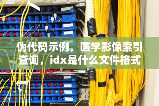 伪代码示例，医学影像索引查询，idx是什么文件格式