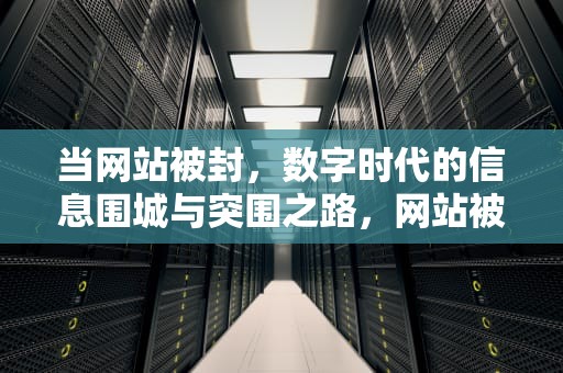 当网站被封，数字时代的信息围城与突围之路，网站被禁止访问怎么打开
