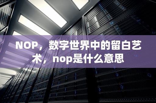 NOP，数字世界中的留白艺术，nop是什么意思