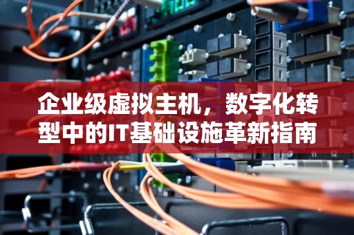 企业级虚拟主机，数字化转型中的IT基础设施革新指南，企业虚拟主机有哪些