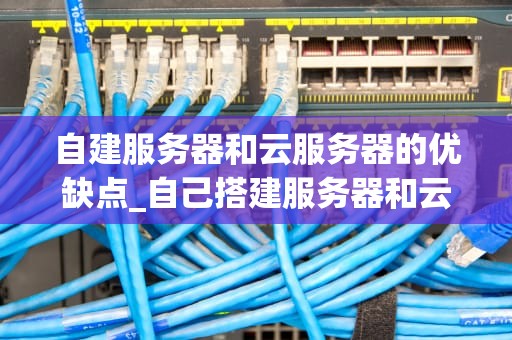 自建服务器和云服务器的优缺点_自己搭建服务器和云服务器_自建服务器与云服务器的优缺点对比分析