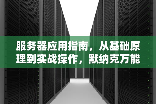 服务器应用指南，从基础原理到实战操作，默纳克万能服务器怎么用