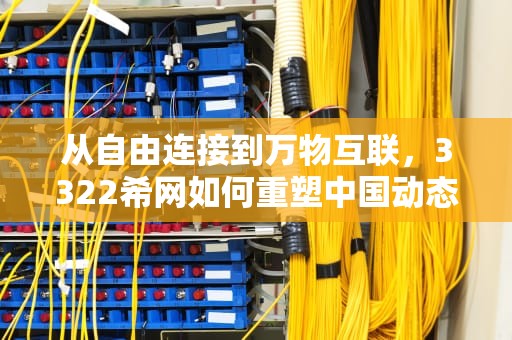 从自由连接到万物互联，3322希网如何重塑中国动态DNS技术生态，3322希网网络老板