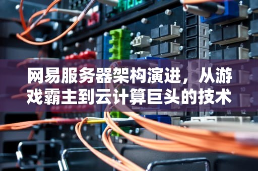 网易服务器架构演进，从游戏霸主到云计算巨头的技术突围，网易服务器在哪里