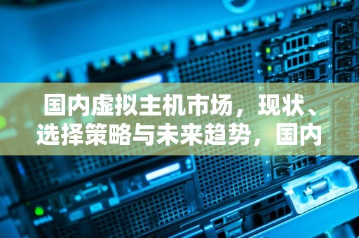 国内虚拟主机市场，现状、选择策略与未来趋势，国内虚拟主机购买