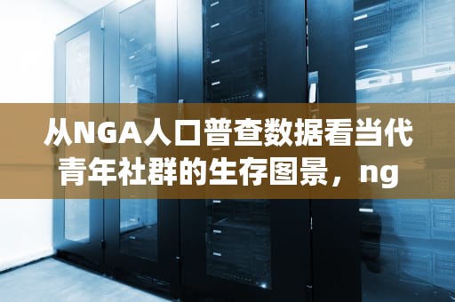 从NGA人口普查数据看当代青年社群的生存图景，nga人口普查正式服