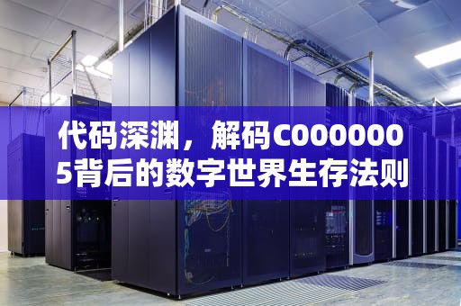 代码深渊，解码C0000005背后的数字世界生存法则，c0000005异常代码
