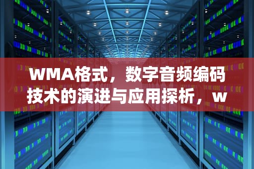 WMA格式，数字音频编码技术的演进与应用探析，wma格式怎么转换mp3