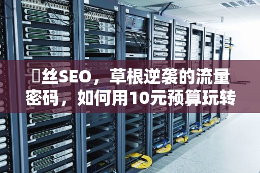 屌丝SEO，草根逆袭的流量密码，如何用10元预算玩转千万级曝光？