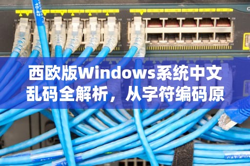 西欧版Windows系统中文乱码全解析，从字符编码原理到彻底解决方案