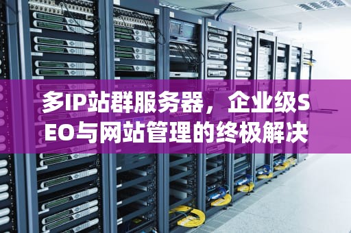 多IP站群服务器，企业级SEO与网站管理的终极解决方案，站群服务器多ip怎么使用