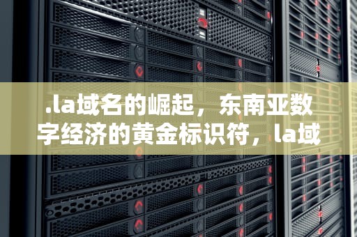 .la域名的崛起，东南亚数字经济的黄金标识符，la域名是哪里的
