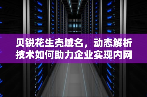 贝锐花生壳域名，动态解析技术如何助力企业实现内网穿透与远程服务？贝锐花生壳域名管理