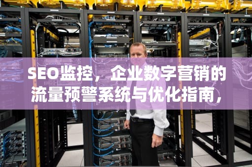 SEO监控，企业数字营销的流量预警系统与优化指南，SEO监控精灵官方网站