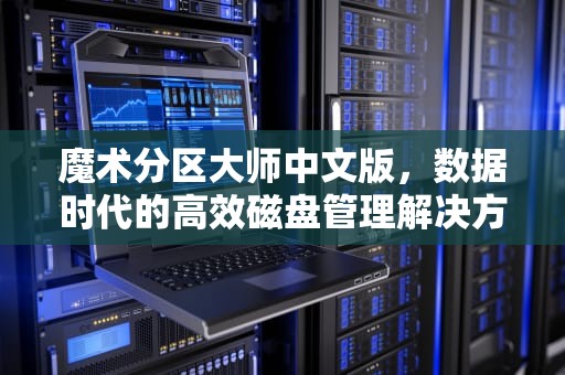 魔术分区大师中文版，数据时代的高效磁盘管理解决方案，魔术分区大师中文版下载