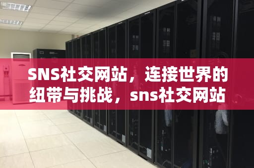 SNS社交网站，连接世界的纽带与挑战，sns社交网站是什么