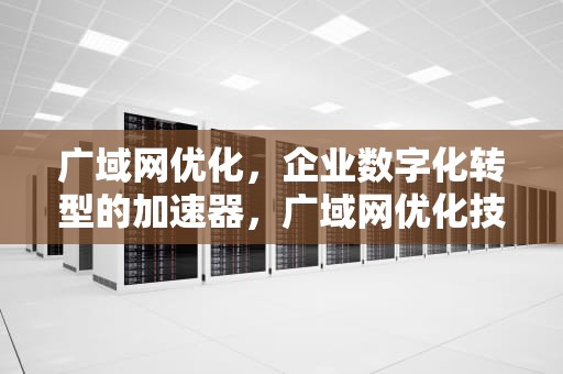 广域网优化，企业数字化转型的加速器，广域网优化技术有