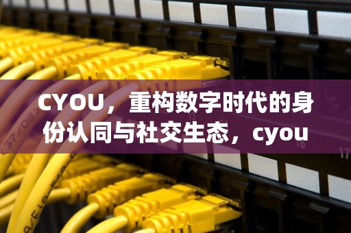 CYOU，重构数字时代的身份认同与社交生态，cyou是什么意思