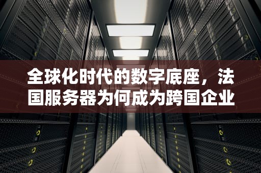 全球化时代的数字底座，法国服务器为何成为跨国企业的战略选择？法国服务器租用
