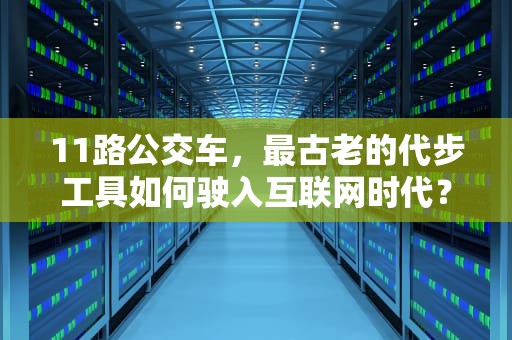 11路公交车，最古老的代步工具如何驶入互联网时代？解码中国网络流行语背后的集体幽默，什么是11路公交车路线