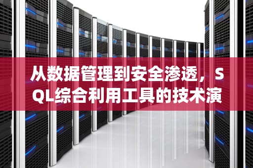 从数据管理到安全渗透，SQL综合利用工具的技术演进与实战指南，sql综合利用工具有哪些