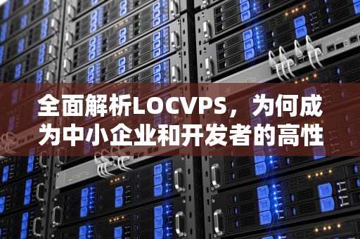 全面解析LOCVPS，为何成为中小企业和开发者的高性能托管首选？