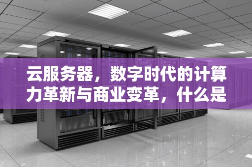 云服务器，数字时代的计算力革新与商业变革，什么是云服务器?它到底能干什么?