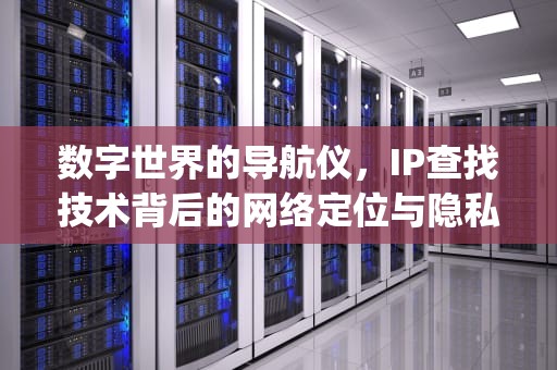 数字世界的导航仪，IP查找技术背后的网络定位与隐私边界，ip查找地址