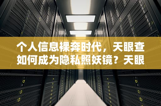个人信息裸奔时代，天眼查如何成为隐私照妖镜？天眼查查询个人企业