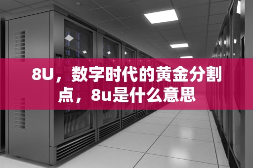 8U，数字时代的黄金分割点，8u是什么意思