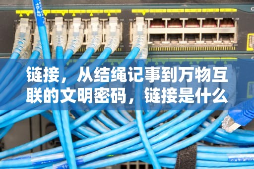 链接，从结绳记事到万物互联的文明密码，链接是什么意思