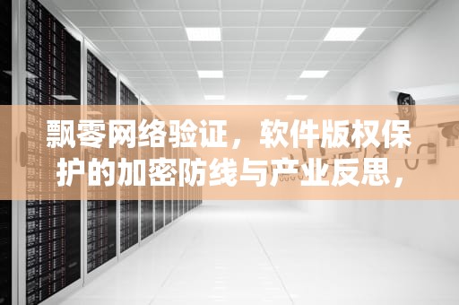 飘零网络验证，软件版权保护的加密防线与产业反思，飘零网络验证系统