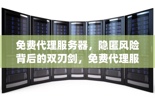 免费代理服务器，隐匿风险背后的双刃剑，免费代理服务器ip和端口