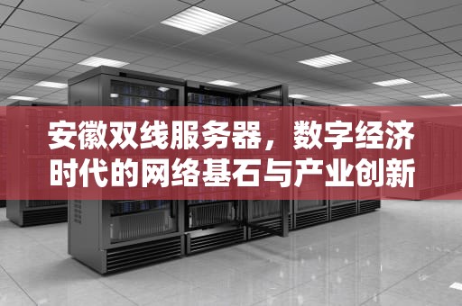 安徽双线服务器，数字经济时代的网络基石与产业创新引擎，安徽双线服务器有哪些