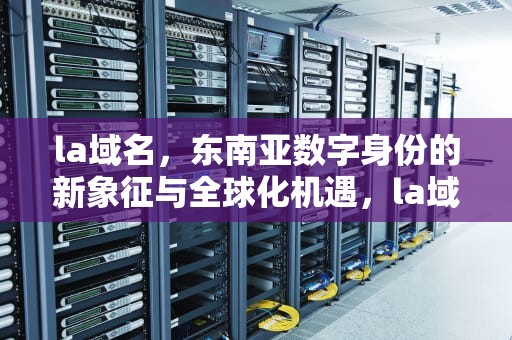 la域名，东南亚数字身份的新象征与全球化机遇，la域名是哪里的
