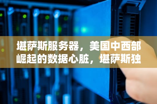 堪萨斯服务器，美国中西部崛起的数据心脏，堪萨斯独立服务器