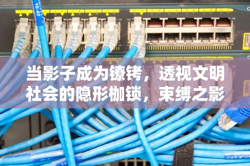 当影子成为镣铐，透视文明社会的隐形枷锁，束缚之影任务ss可以单交么