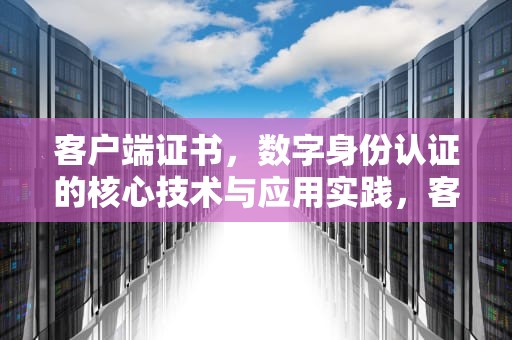 客户端证书，数字身份认证的核心技术与应用实践，客户端证书有误请检查手机时间设置