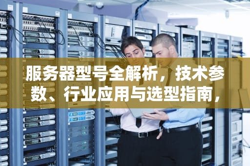 服务器型号全解析，技术参数、行业应用与选型指南，服务器型号怎么看
