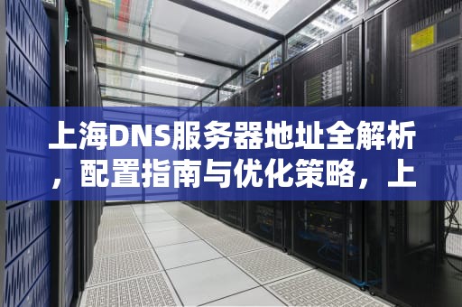 上海DNS服务器地址全解析，配置指南与优化策略，上海dns地址是多少