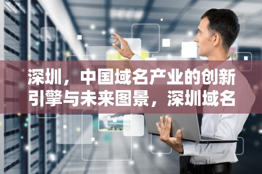 深圳，中国域名产业的创新引擎与未来图景，深圳域名备案需要多久