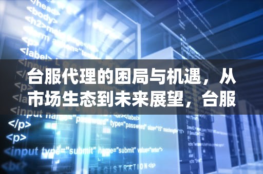 台服代理的困局与机遇，从市场生态到未来展望，台服代理ip