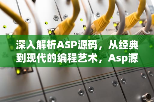 深入解析ASP源码，从经典到现代的编程艺术，Asp源码之家
