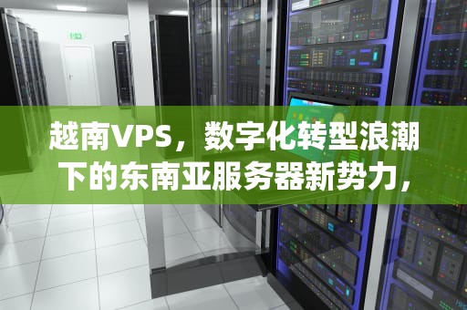 越南VPS，数字化转型浪潮下的东南亚服务器新势力，越南vps原生ip